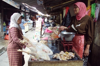 Para pedagang daging ayam di pasar baru tuban yang mendapat berkah dari mahalnya daging sapi sepekat terakhir. (Khoirul Huda/bhirawa)