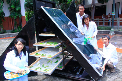 Empat mahasiswa Ubaya mengeringkan bahan baku herbal menggunakan Indirect Solar Dryer hasil riset mereka selama satu bulan di kampus, Rabu (13/1).