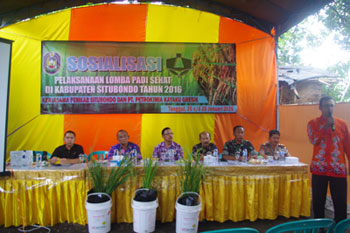 Sekda Situbondo, Syaifullah didampingi Kepala BKPPP Kab. Situbondo, Budi Priono, saat acara sosialisasi pelaksanaan lomba padi sehat, di Desa Olean, kemarin (27/1). 