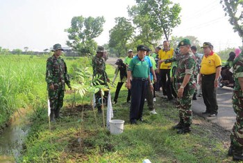 Personel Kodim 0812 Lamongan saat melaksanakan kegiatan penghijauan penanaman pohon Mahoni yang berjumlah 1.645 pohon, di beberapa Wilayah Koramil jajaran Kodim 0812 Lamongan.