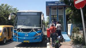Bus Trans Sidoarjo  (1)