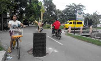 Kondisi Jalan berlubang di wilayah Kel Meri, Kota Mojokerto yang ditanami pisang oleh warga. [kariyadi/bhirawa]