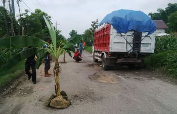 Jalan Pakah menuju Desa Ngimbang Kecamatan Palang Tuban, yang merupakan jalur alternatif menuju Kabupaten Lamongan yang ditanami pohon pisang oleh Warga. (Khoirul Huda/bhirawa)