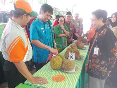 Bupati Amin Said Husni didampingi Wakil Bupati Salwa Arifin dan para Kepala SKPD saat menyaksikan langsung Produksi Tanaman Rakyat berupa Durian dalam Kontes Durian dan Apukat.