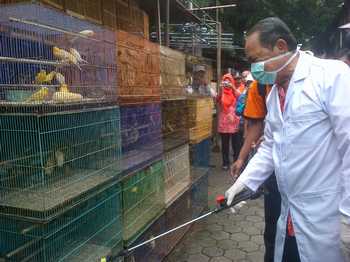 Wali Kota Mojokerto Mas'ud Yunus menyemprot kandang burung di Pasar Burung Jl Empunala, Kota Mojokerto, Kamis (31/3) kemarin. [kariyadi/bhirawa]