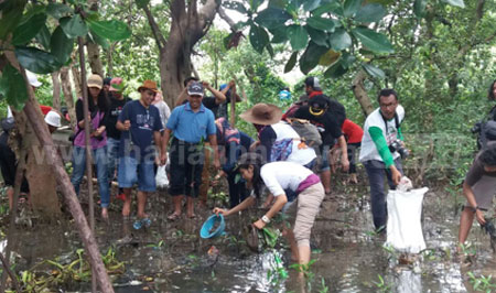 Sejumlah komunitas melakukan aktivitas di Rumah Mangrove Wonorejo, Kecamatan Rungkut Surabaya, Minggu (10/4). Mulai memungut sampah, tanam mangrove hingga memotret burung migran dan satwa lain di sana. [gegeh bagus]