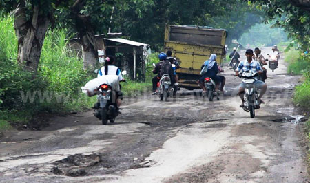 Jalan alternatif yang menghubungkan antara Jombang, Sukorame Lamongan dan Bojonegoro ini sudah mengalami rusak parah dan sampai sekarang belum ada perbaikan. [ramadlan]