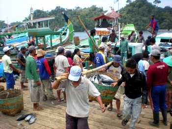 Nelayan Pantai Sendangbiru menolak melelangkan hasil tangkapan ikannya di TPI Pondok Dadap, Desa Tambakrejo, Kec Sumbermanjing Wetan, Kab Malang.