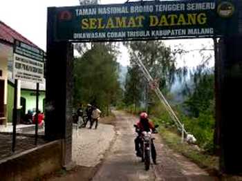 Area Taman Nasional yang berada di wilayah Kec Poncokusumo, Kab Malang yang kini pengamanannya diperketat untuk antisipasi praktik illegal logging. [cahyono/bhirawa]