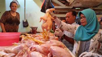 Petugas Dinas Peternakan Pemkab Nganjuk memantau kualitas dan harga daging sapi di pasaran selama Ramadan.(ristika/bhirawa)