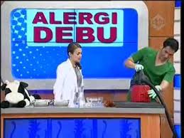Alergi Debu
