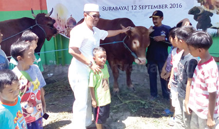 General Manager Sales Region Jatim, Agustiyono bersama anak-anak wilayah sekitar Yayasan Pendidikan Al Islah Surabaya saat melihat dua ekor sapi bantuan dari Telkomsel Peduli dan Berbagi untuk Negeri. [achmad tauriq]