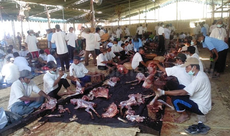 Penyembelihan dan pembagian hewan kurban di Ponpes Modern Al Ishlah di Bondowoso. [samsul tahar]