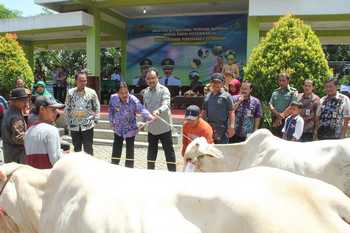 Gus Ipul, Cak Nur dan Gus Wawan ketika memperhatikan sapi-sapi yang ikut festival. [achmad suprayogi/bhirawa]