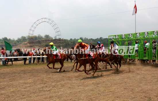 Sejumlah peserta dalam kejuaraan Pacuan Kuda Bupati Cup memperingati HUT Kabupaten Pasuruan ke 1.087. Pemkab Pasuruan terus mendukung sarana dan prasarana gelanggang pacuan kuda Ki Ageng Astro Joyo, di Kejayan, Kabupaten Pasuruan. 