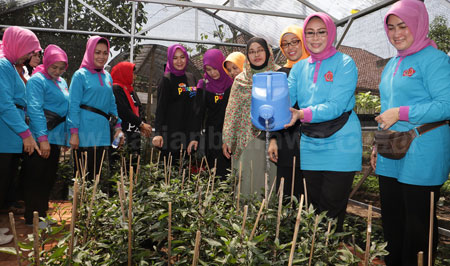 Ketua Umum Badan Kerja Sama Organisasi Wanita Provinsi Jawa Timur ( BKOW ) Melakukan Penyiraman Tanaman Lombok di Kawasan Rumah Pangan Lestari di PP Al Hidayah.