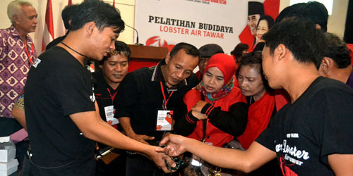 Pelatihan budidaya lobster air tawar di aula kantor DPD PDI Perjuangan Jatim Jl Kendangsari. 