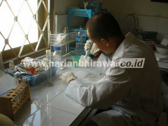 Petugas Laboratorium Kesehatan Hewan Dinas Peternakan Kabupaten Blitar saat melakukan uji sampel.