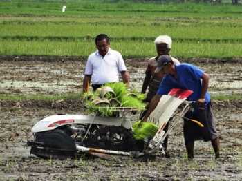 Petani Probolinggo uji coba rice transplanter mempercepat tanam serempak..
