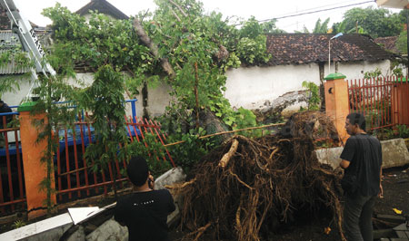 Petugas DKP Kota Pasuruan memotong pohon waru di area Yayasan Pendidikan Kejuruan SMK Untung Suropati paska disapu angin puting beliung yang disertai hujan lebat, Selasa (3/1) sore. [hilmi husein]