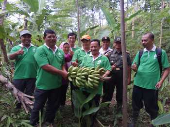 Plt Kadis Pertanian Karna Suswandi saat mengunjungi pengembangan pisang organic dan KWT yang mampu membantu para suami bertani dengan modal sendiri. (samsul Tahar/Bhirawa)