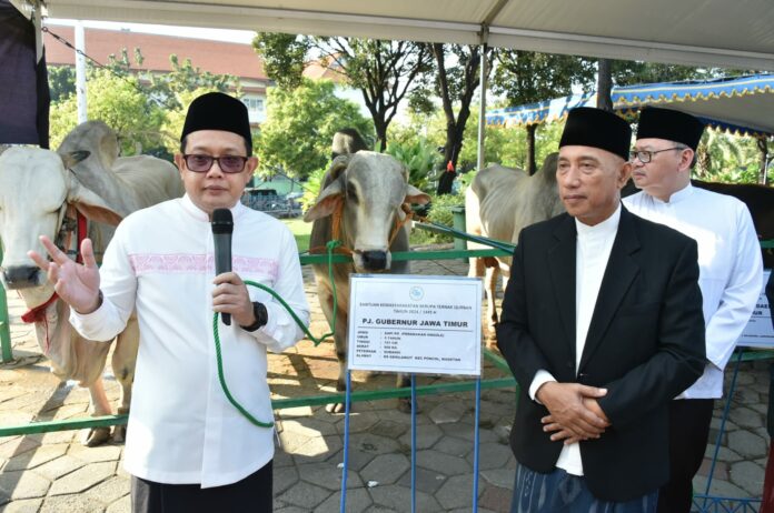 Pj Gubernur Jatim Adhy Karyono menyerahkan sapi jenis ongole seberat 950 Kg kepada Masjid Nasional Al Akbar Surabaya (MAS) dan diterima HM Arum Sabil selaku Dewan Pembina MAS.